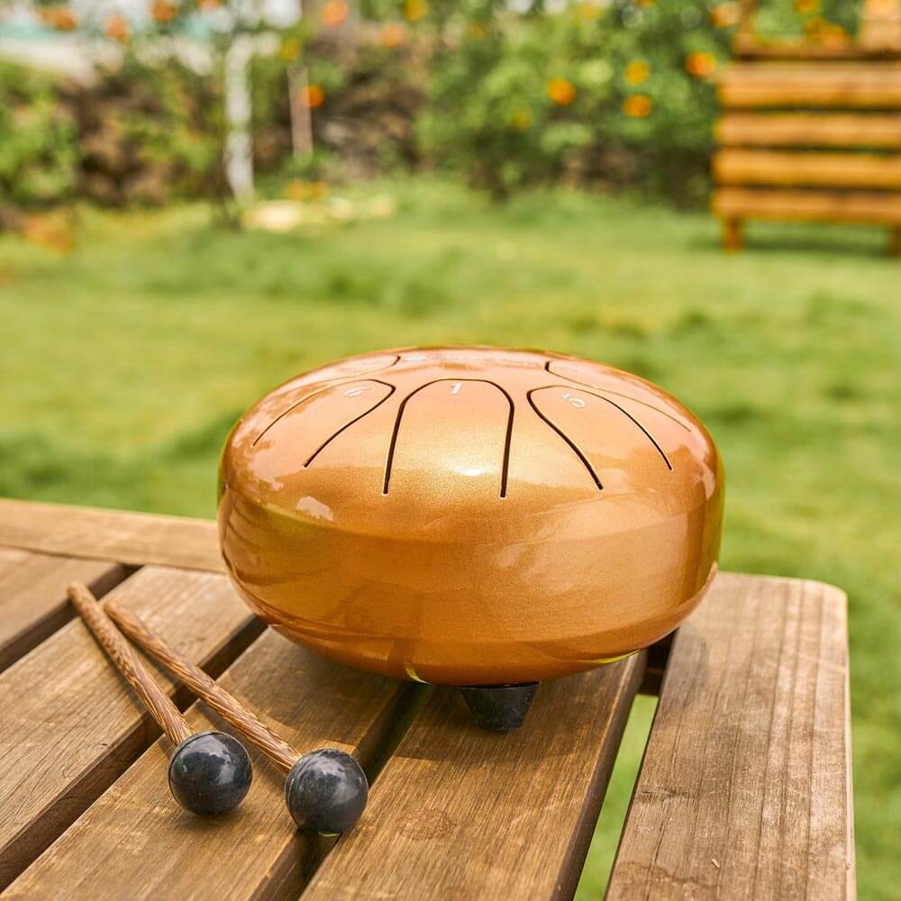Sonodrum „Standard“ Rhythmus-Set – Zungentrommel (14/20 cm) + Happy Beatz Lernkarten & Videokurs | Floh im Ohr TV