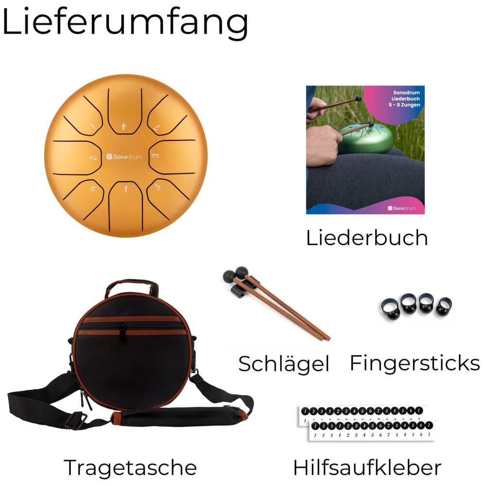 Sonodrum „Standard“ Rhythmus-Set – Zungentrommel (14/20 cm) + Happy Beatz Lernkarten & Videokurs | Floh im Ohr TV