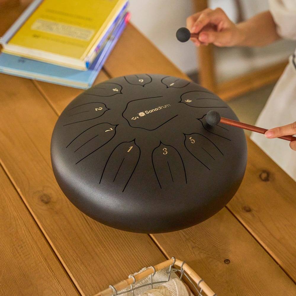 Sonodrum Zungentrommel - "Standard" - Handgefertigt - 30cm - 11 Zungen - D-Dur