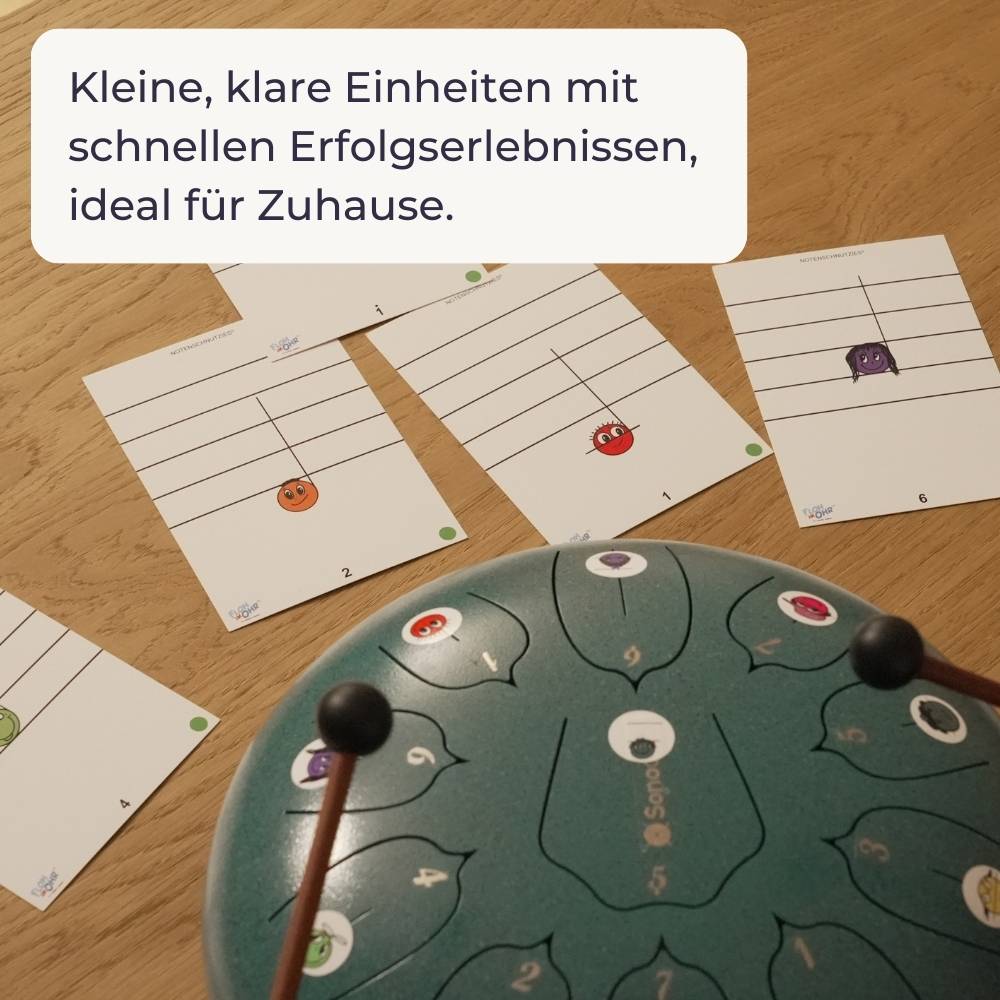 Sonodrum - Premium 15 Zungen Paket - Let’s Play Zungentrommel & Notenschnutzies - Floh im Ohr TV