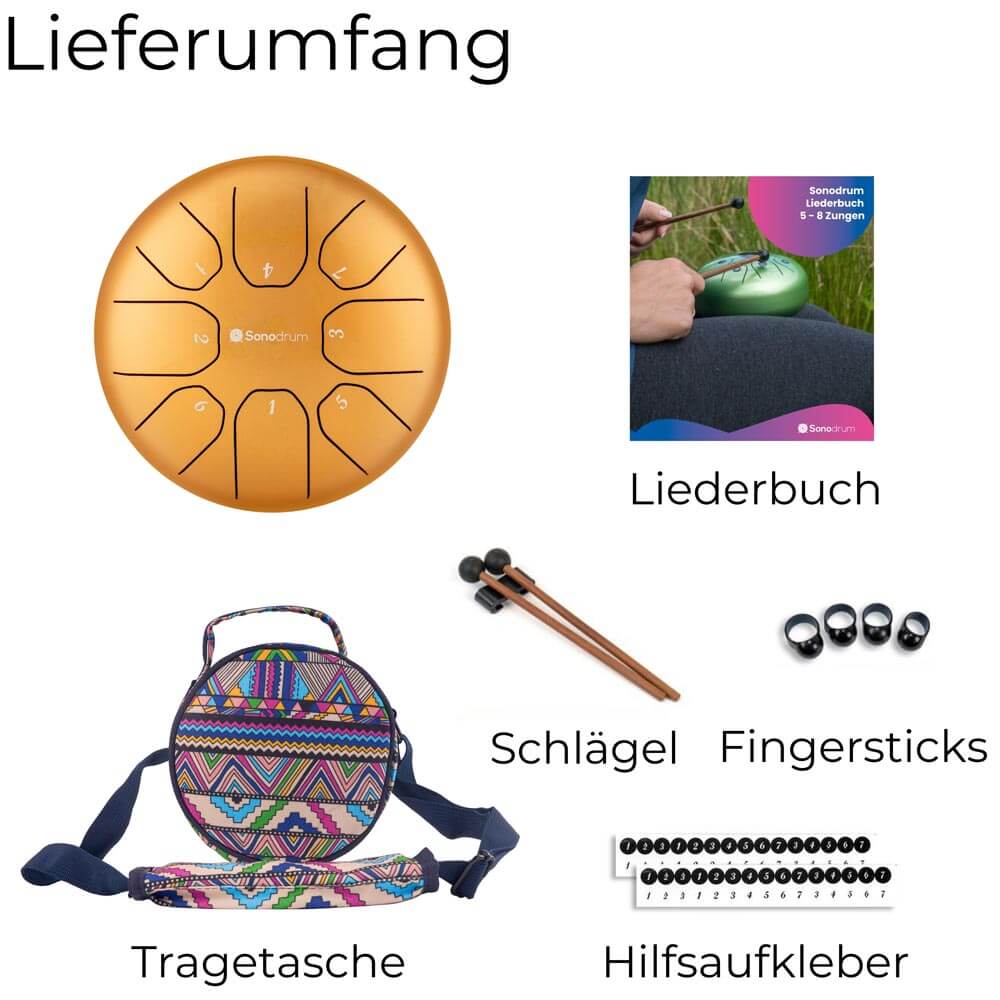 Sonodrum „Standard“ Rhythmus-Set – Zungentrommel (14/20 cm) + Happy Beatz Lernkarten & Videokurs | Floh im Ohr TV