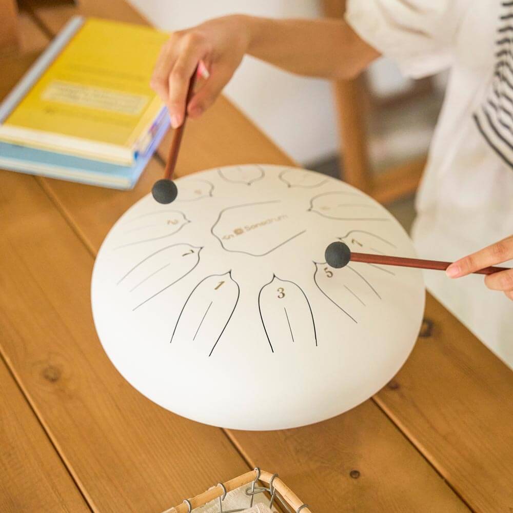 Sonodrum Zungentrommel - "Standard" - Handgefertigt - 30cm - 11 Zungen - D-Dur